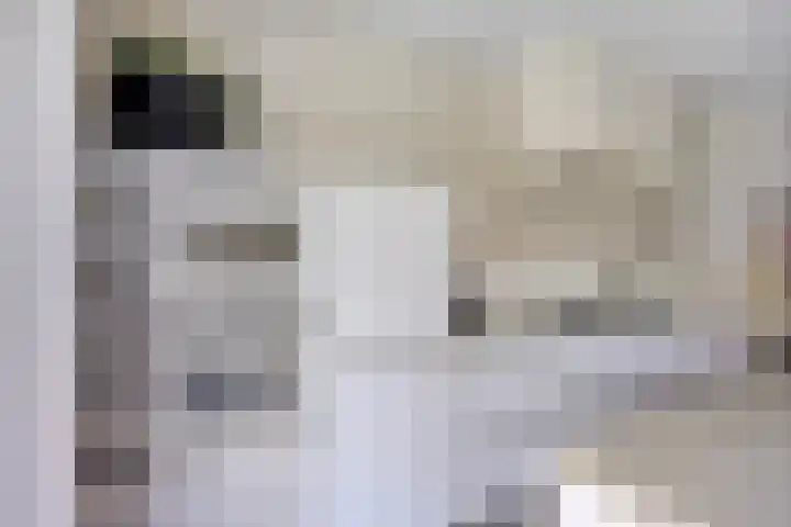 Olievlas 11 Asten thumbnail 10