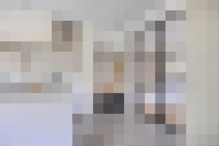 Olievlas 11 Asten thumbnail 12