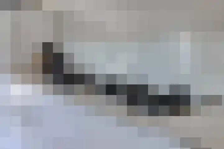 Olievlas 11 Asten thumbnail 13