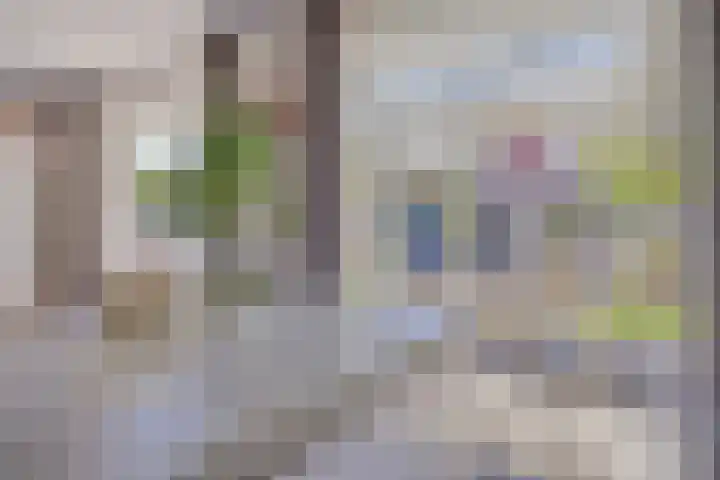 Olievlas 11 Asten thumbnail 14