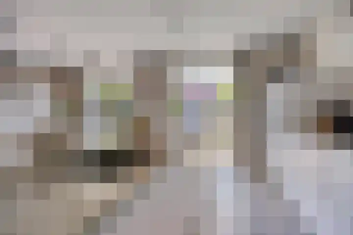 Olievlas 11 Asten thumbnail 20