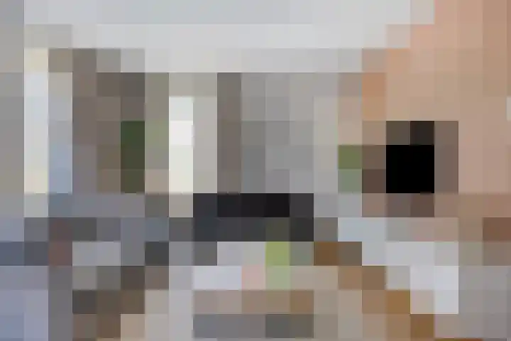 Olievlas 11 Asten thumbnail 23