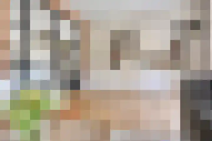 Olievlas 11 Asten thumbnail 25