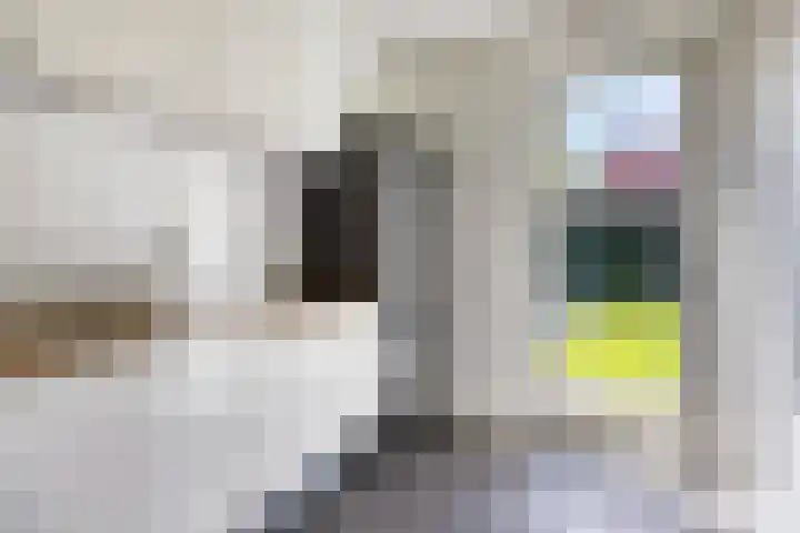 Olievlas 11 Asten thumbnail 29