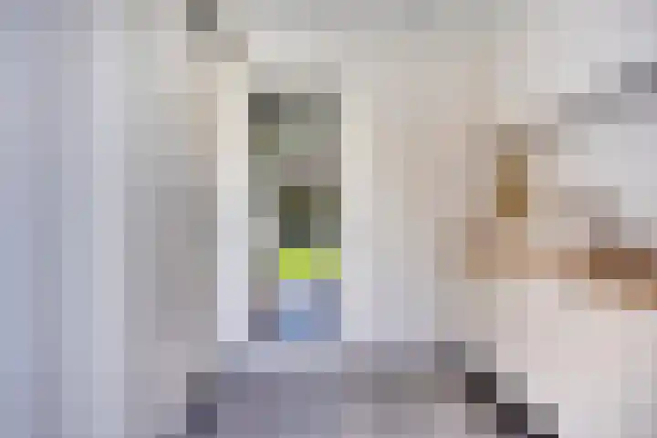 Olievlas 11 Asten thumbnail 31