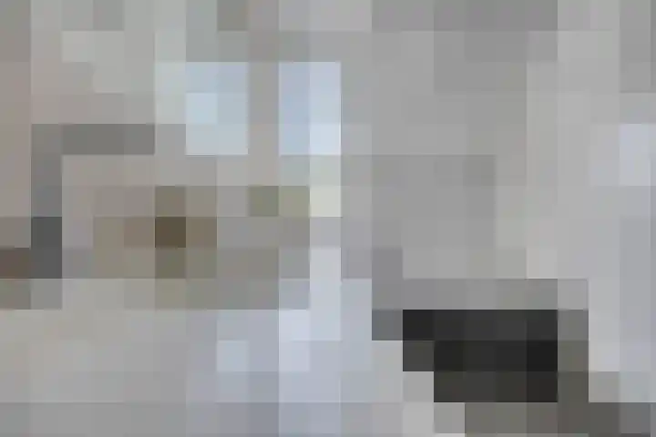 Olievlas 11 Asten thumbnail 37
