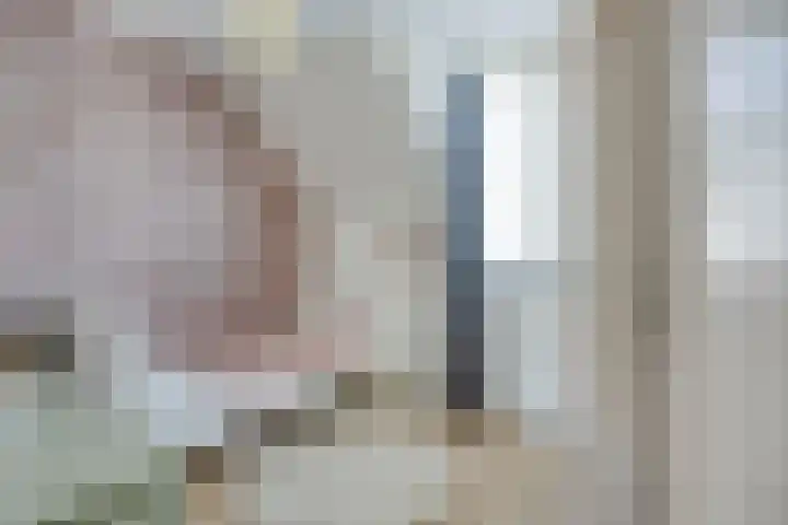 Olievlas 11 Asten thumbnail 38