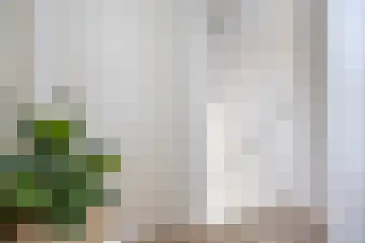 Olievlas 11 Asten thumbnail 41