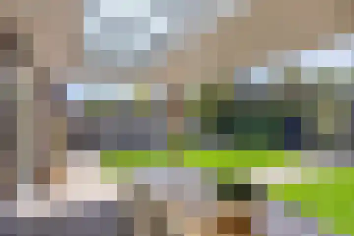 Olievlas 11 Asten thumbnail 46