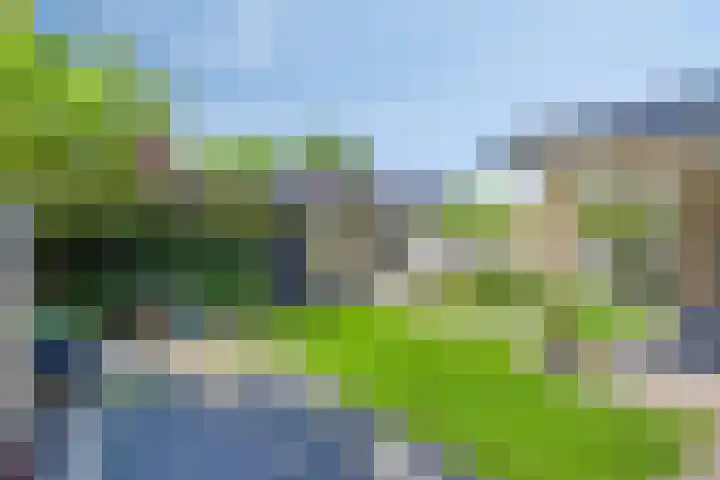 Olievlas 11 Asten thumbnail 48