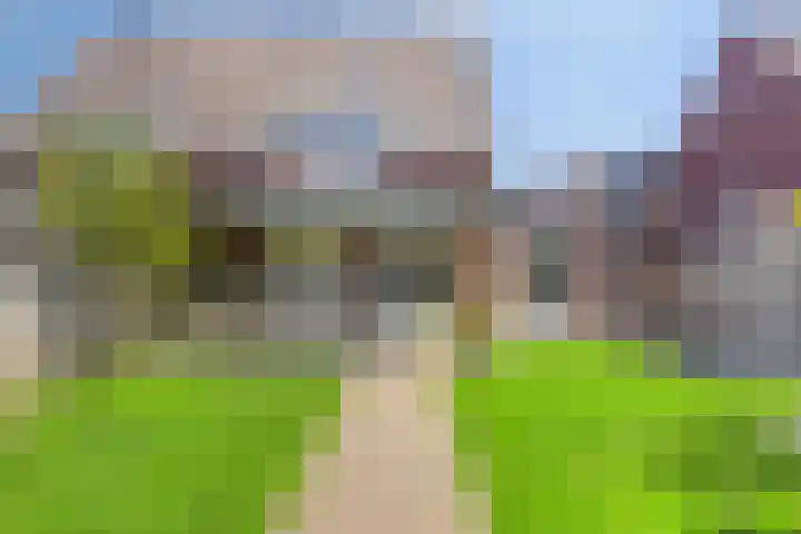 Olievlas 11 Asten thumbnail 49