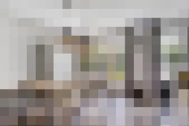 Olievlas 11 Asten thumbnail 5