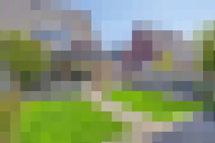 Olievlas 11 Asten thumbnail 50