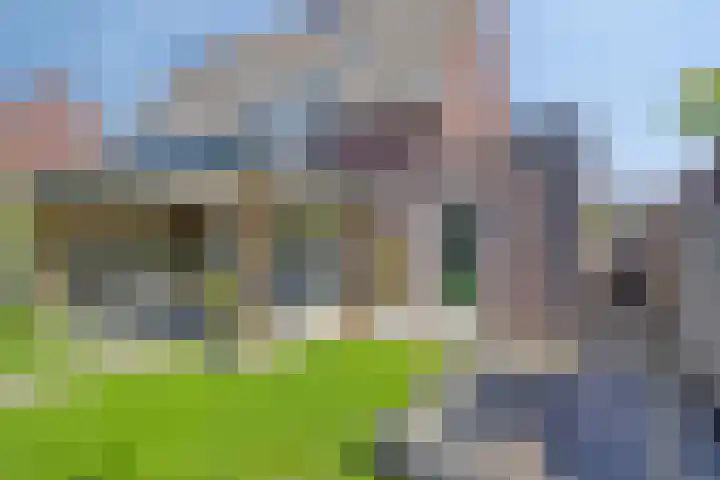 Olievlas 11 Asten thumbnail 51