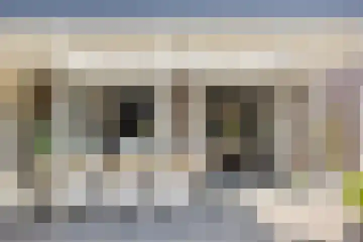 Olievlas 11 Asten thumbnail 52