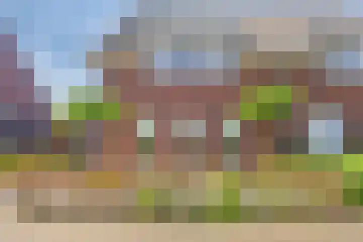Olievlas 11 Asten thumbnail 58