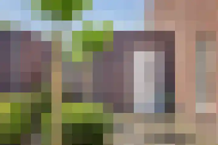 Olievlas 11 Asten thumbnail 59