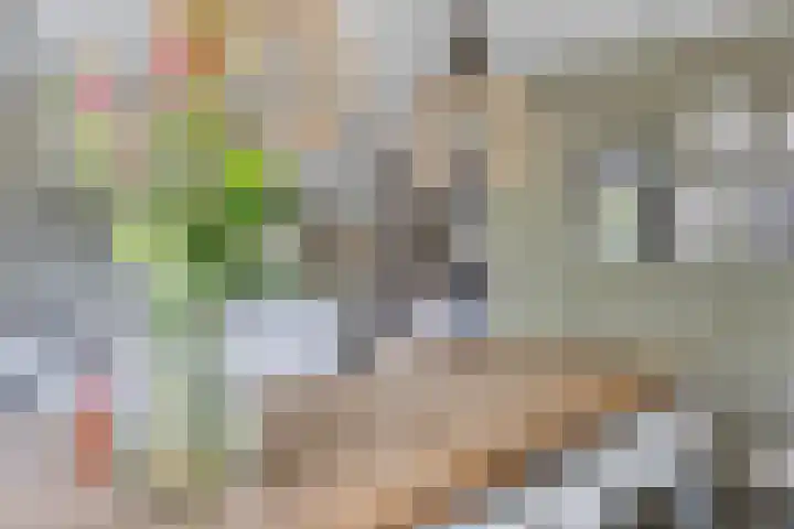 Olievlas 11 Asten thumbnail 6