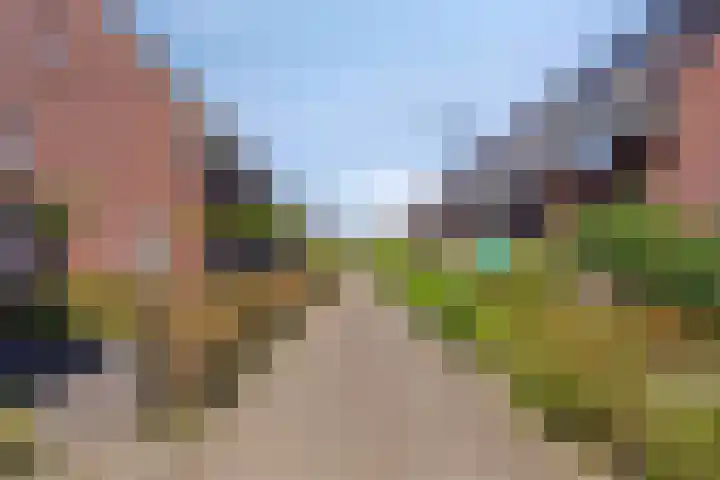 Olievlas 11 Asten thumbnail 60