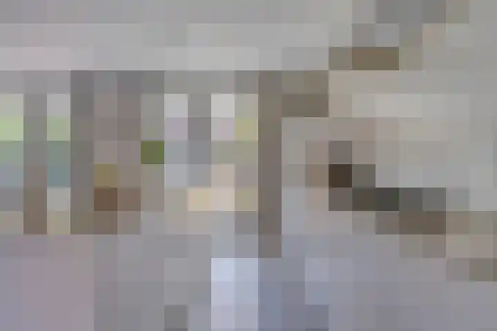 Olievlas 11 Asten thumbnail 7