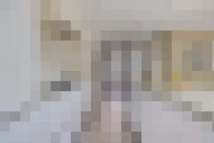 Olievlas 11 Asten thumbnail 8