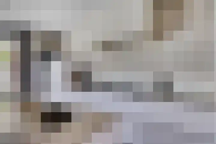Olievlas 11 Asten thumbnail 9