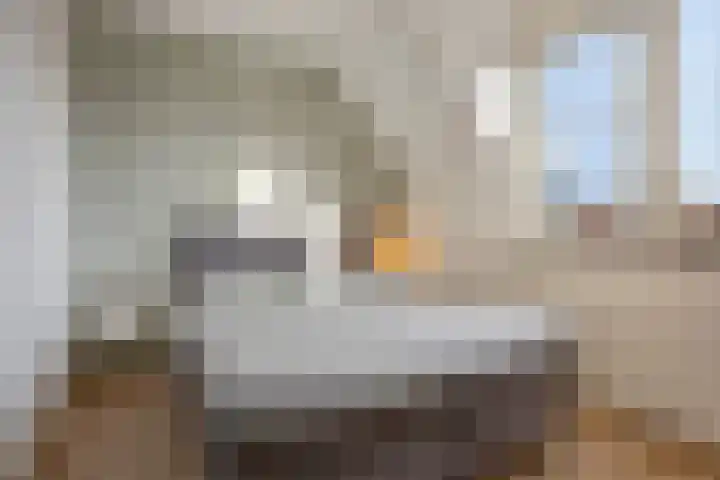 Olievlas 22 Asten thumbnail 16