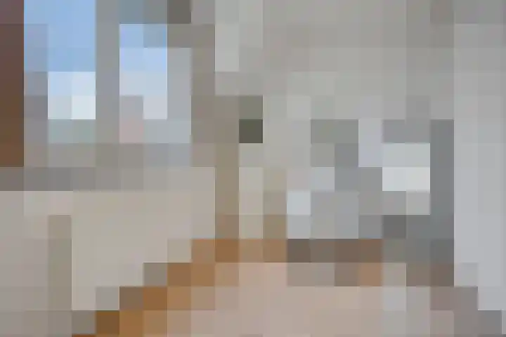 Olievlas 22 Asten thumbnail 18