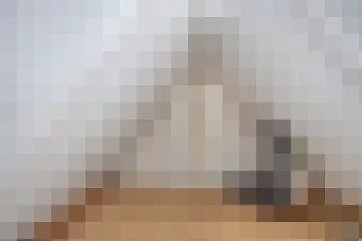 Olievlas 22 Asten thumbnail 25