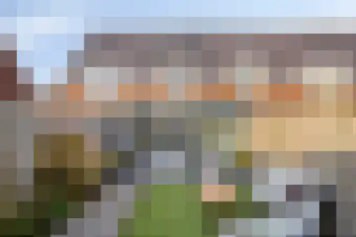 Olievlas 22 Asten thumbnail 26