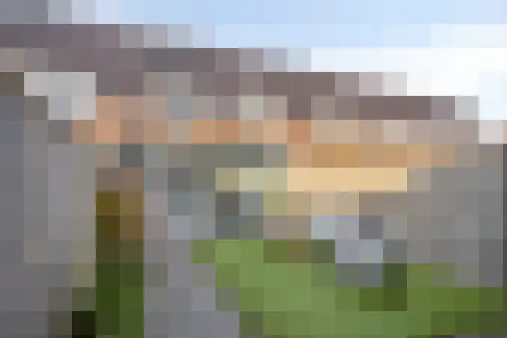 Olievlas 22 Asten thumbnail 29