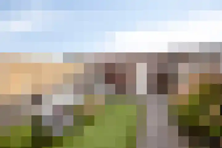 Olievlas 22 Asten thumbnail 30