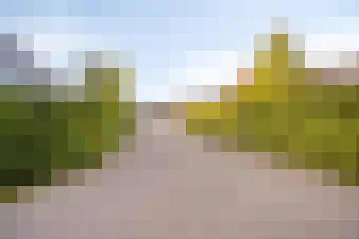 Olievlas 22 Asten thumbnail 33