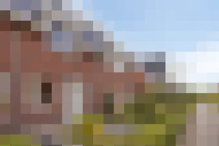 Olievlas 22 Asten thumbnail 34