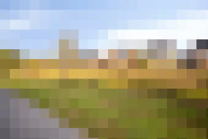 Olievlas 22 Asten thumbnail 35
