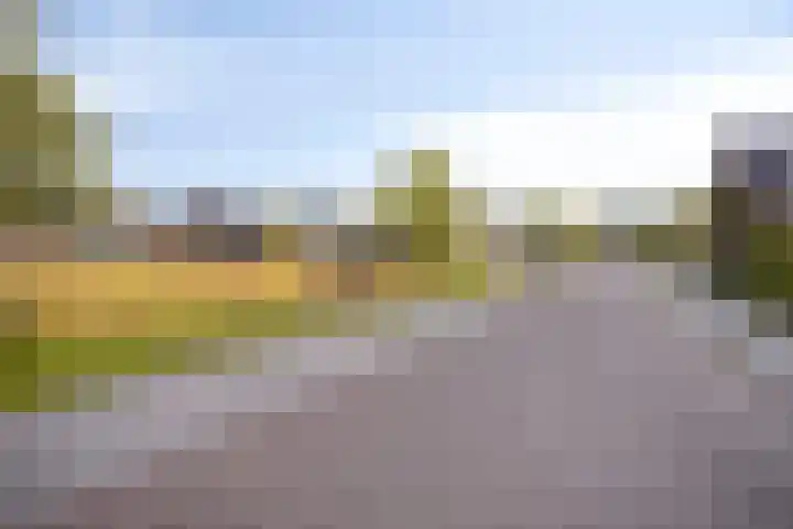 Olievlas 22 Asten thumbnail 36