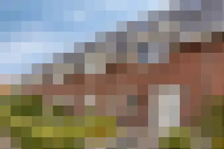 Olievlas 22 Asten thumbnail 6