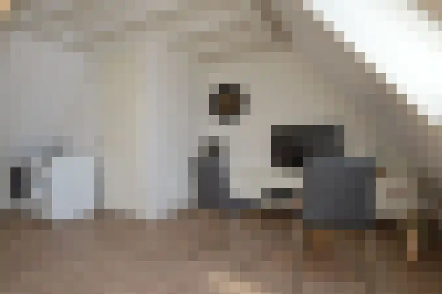 Olievlas 28 Asten thumbnail 22