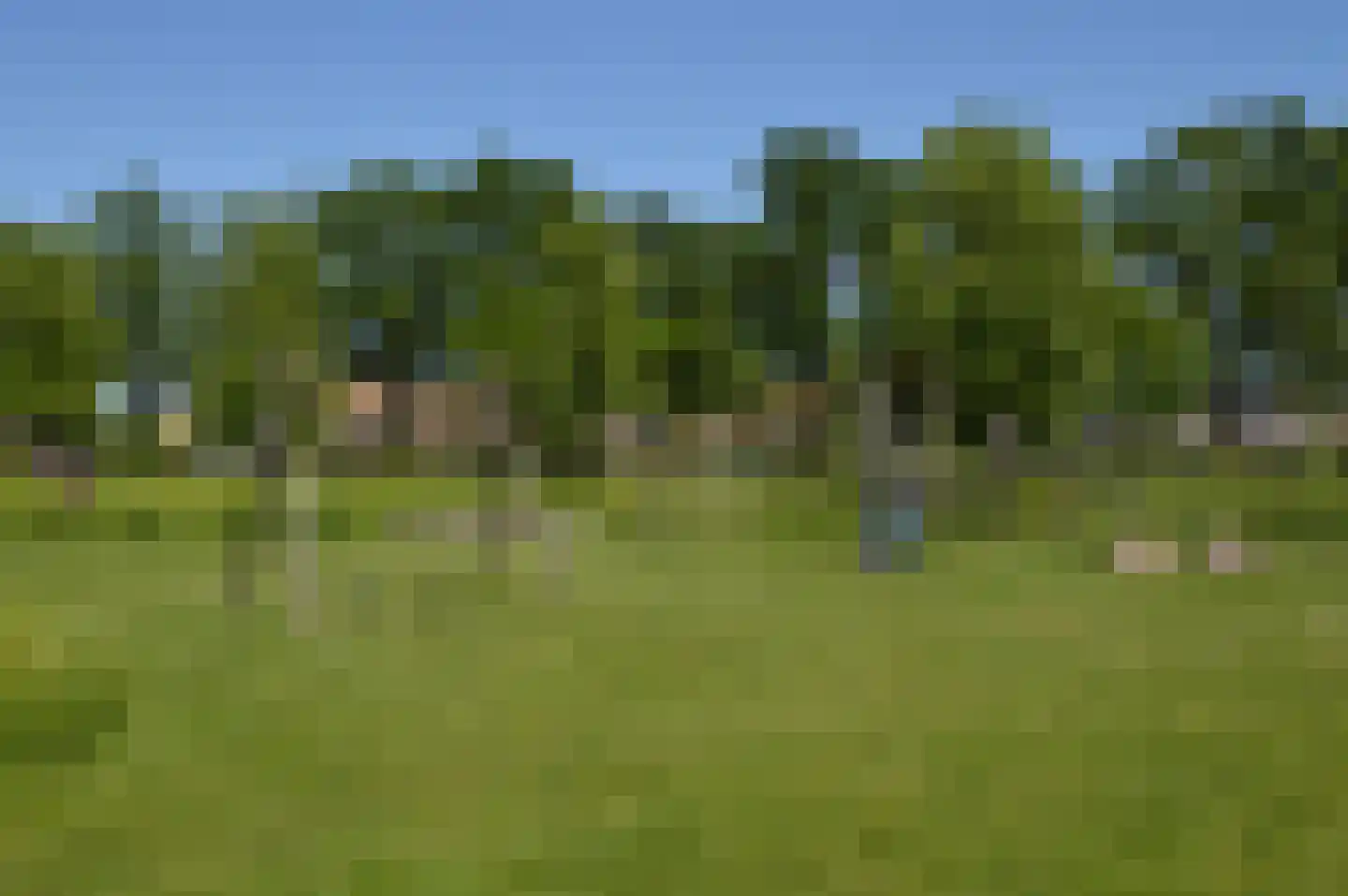 Olievlas 28 Asten thumbnail 31