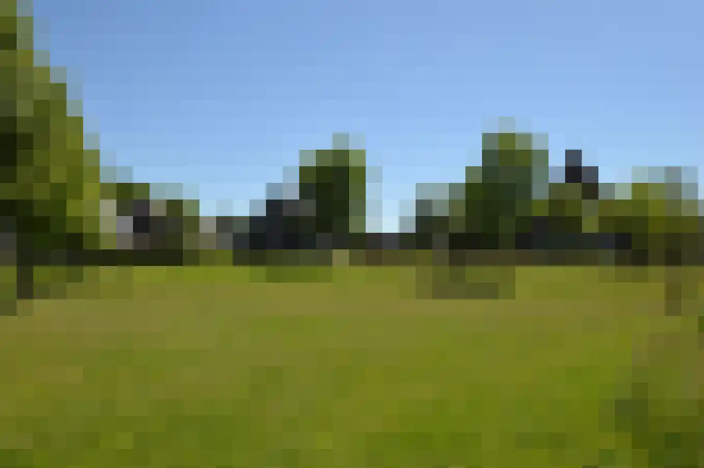 Olievlas 28 Asten thumbnail 32