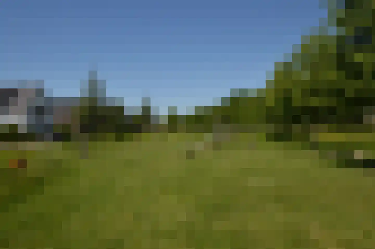 Olievlas 28 Asten thumbnail 33