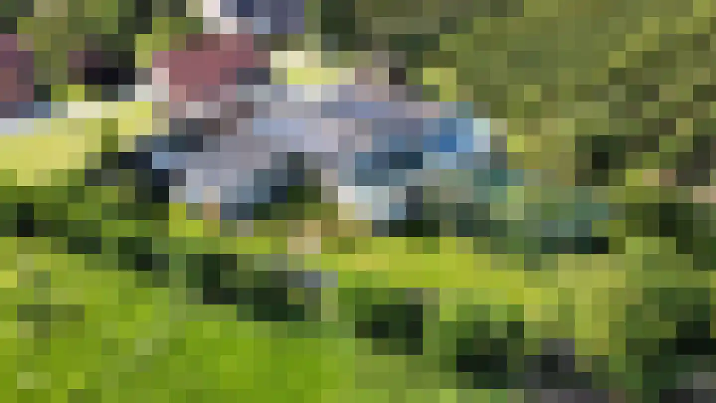 Olieweg 8 Aardenburg thumbnail 12