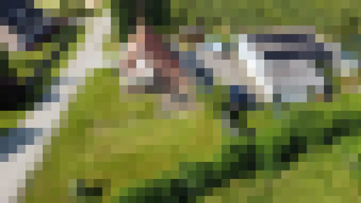 Olieweg 8 Aardenburg thumbnail 13