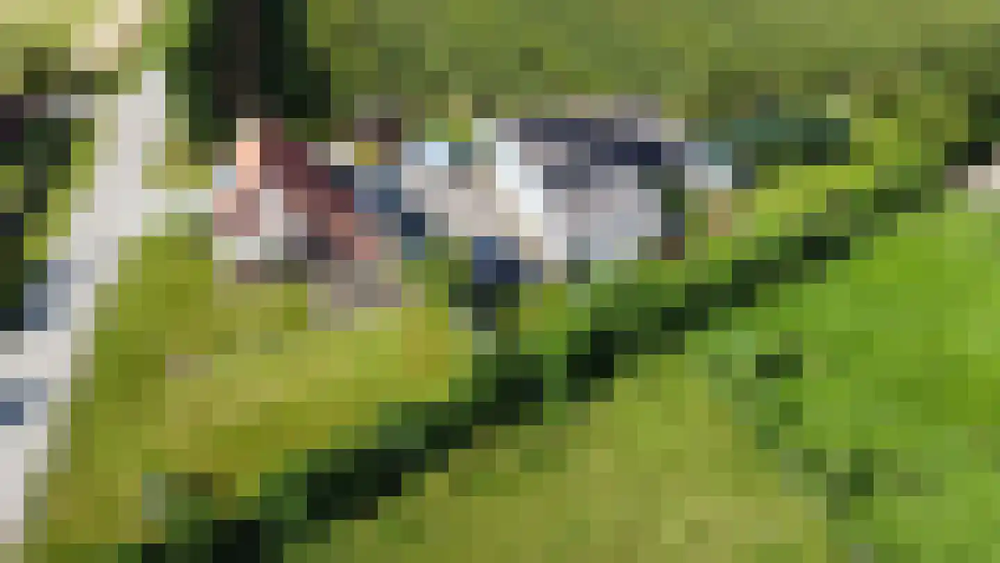 Olieweg 8 Aardenburg thumbnail 14
