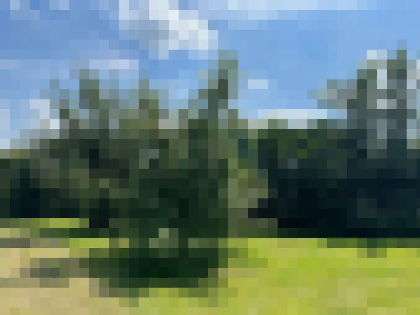 Olieweg 8 Aardenburg thumbnail 7