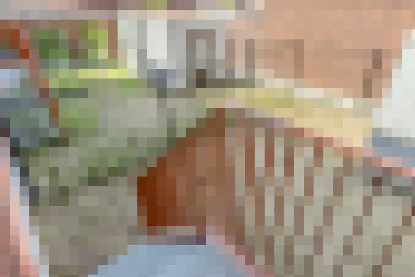 Olifantoortje 22 Tilburg thumbnail 30
