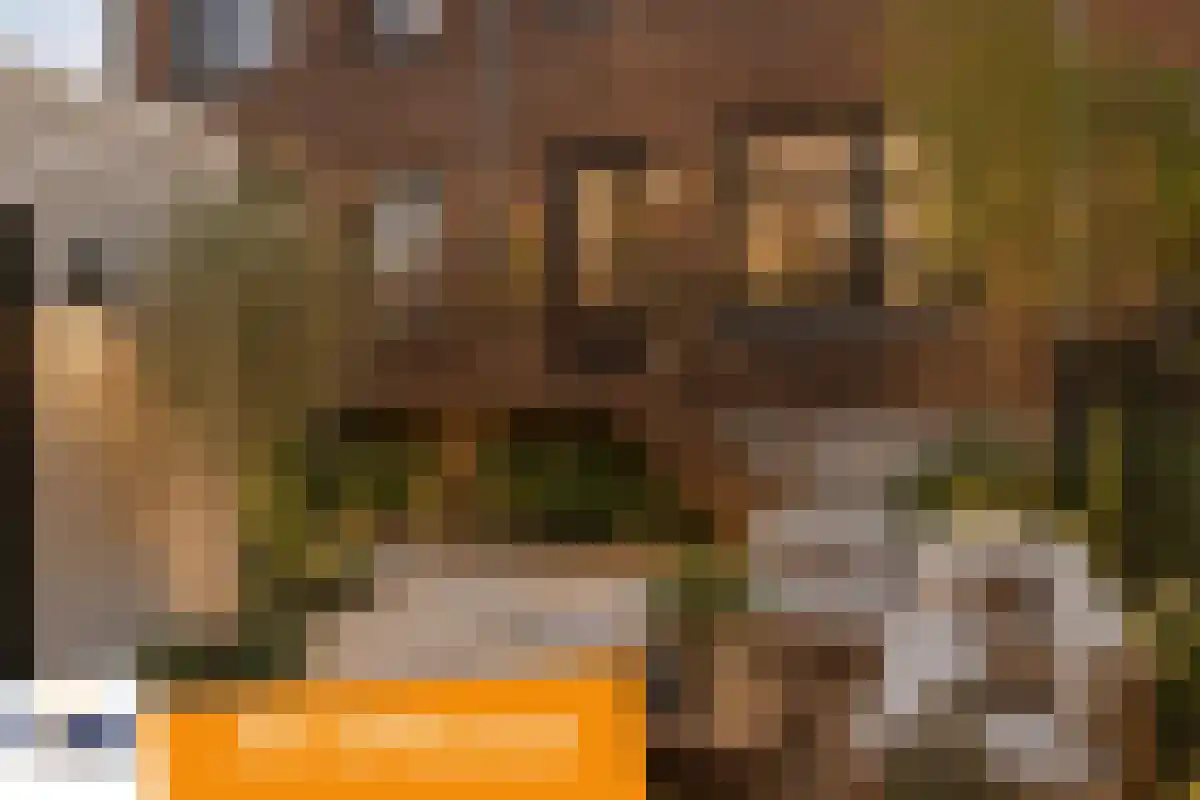 Olifantoortje 22 Tilburg thumbnail 32