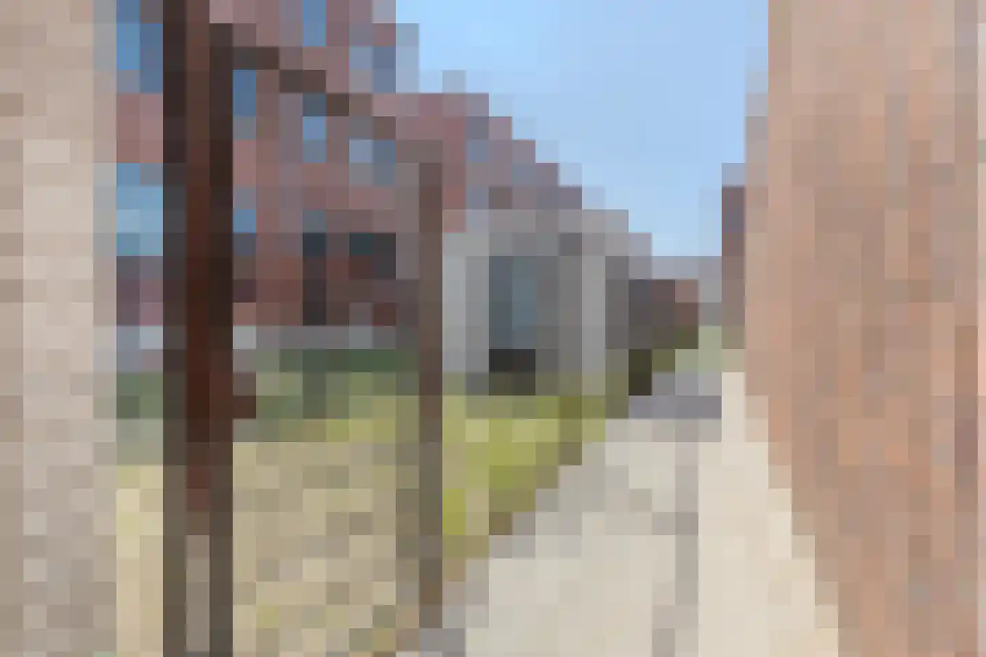 Olifantoortje 22 Tilburg thumbnail 35