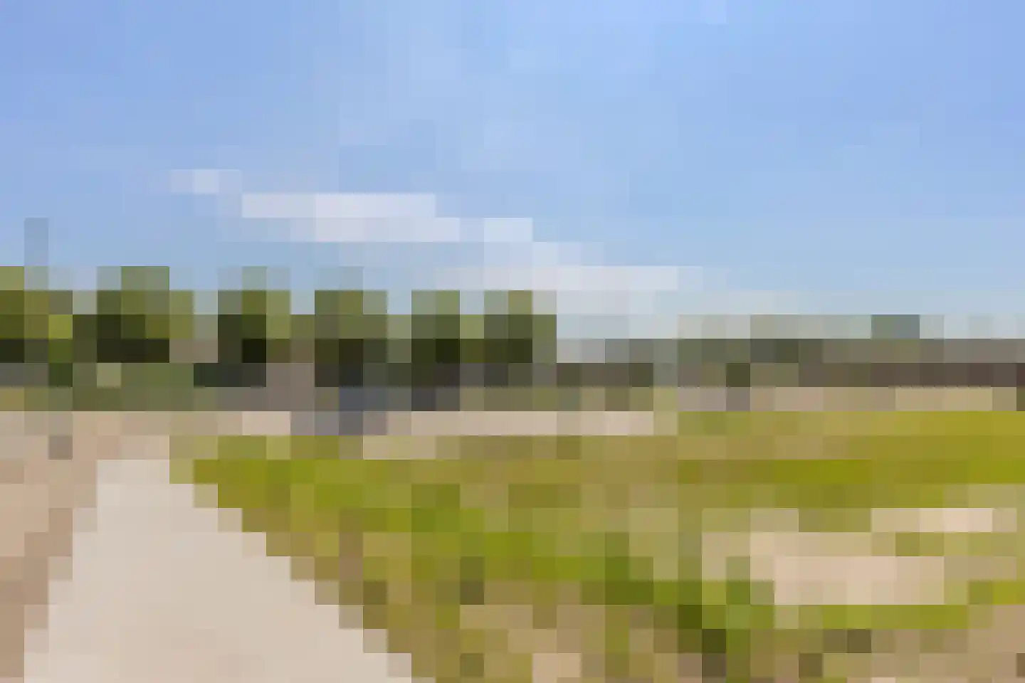 Olifantoortje 22 Tilburg thumbnail 44