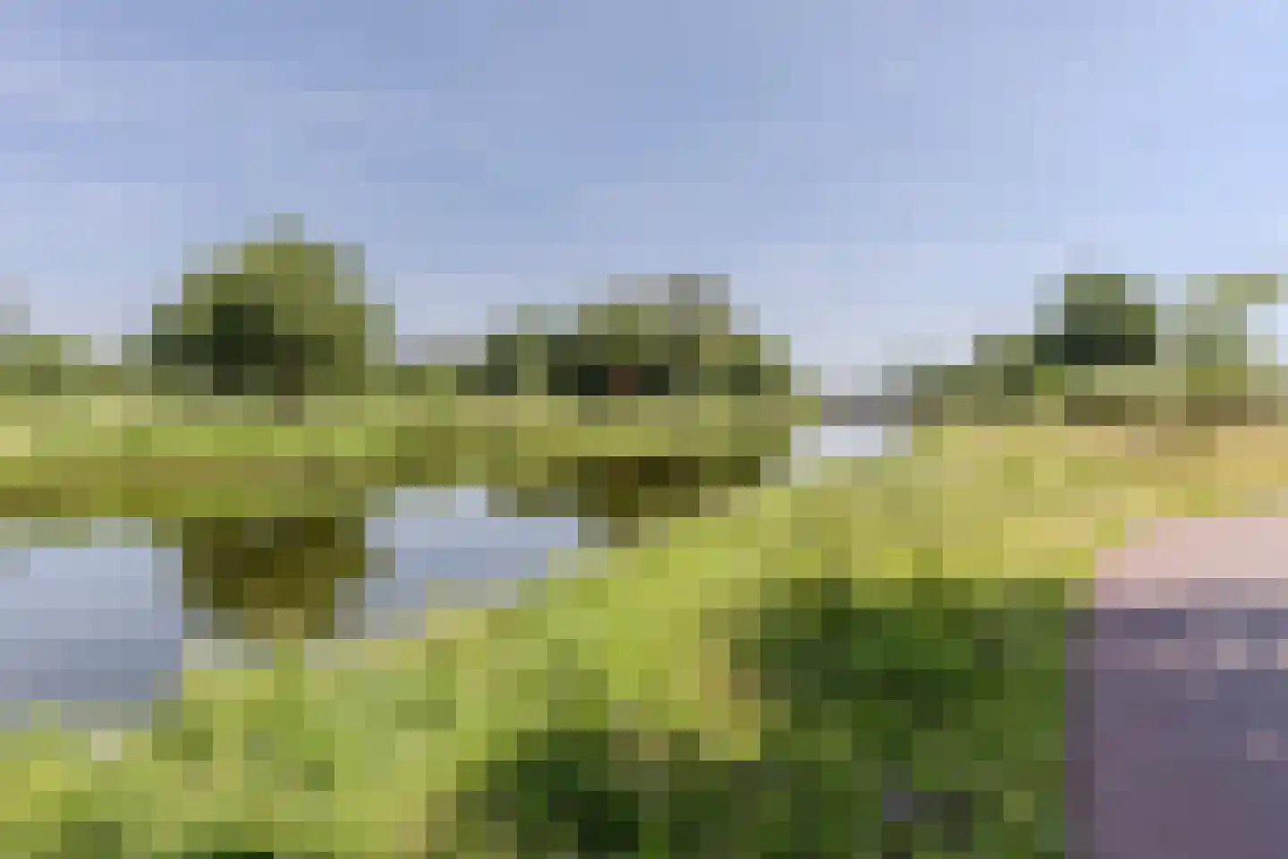 Olifantoortje 22 Tilburg thumbnail 46